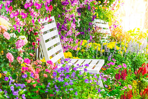 White wooden chair in the flowers garden on summer with sunflare.