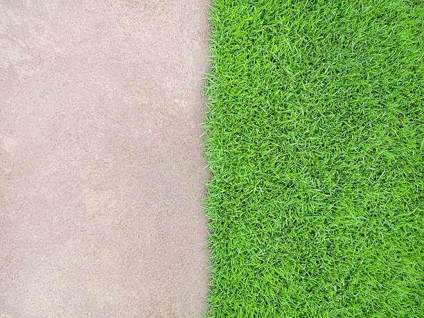 istock Half and Half Cement Floor and Meadow 533239658