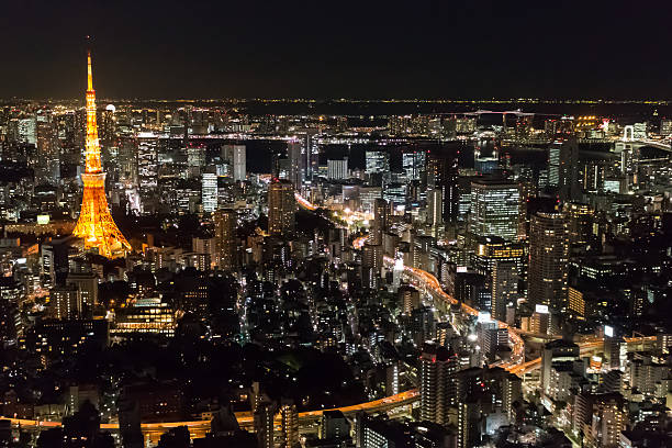 istock Night time city scape of Tokyo 533241098
