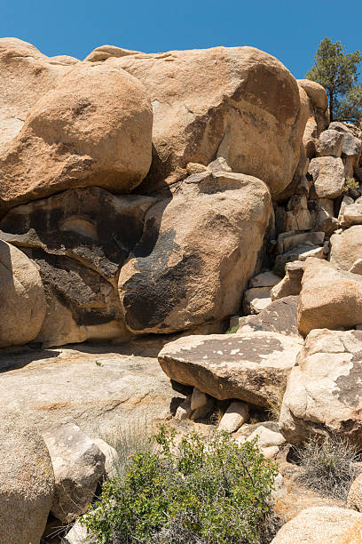 istock Joshua Tree National Park 533242724