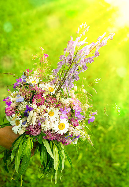 A hand holding a bouqet of wild flowers