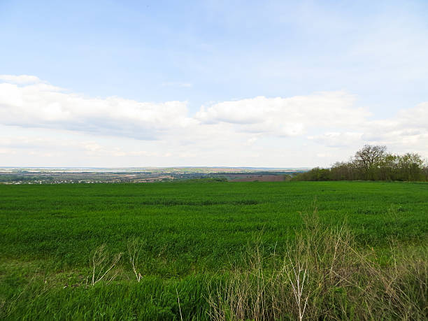 istock Field of young green wheat on spring 533245522
