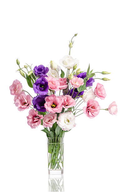 istock bunch of violet, white and pink eustoma flowers 533245784