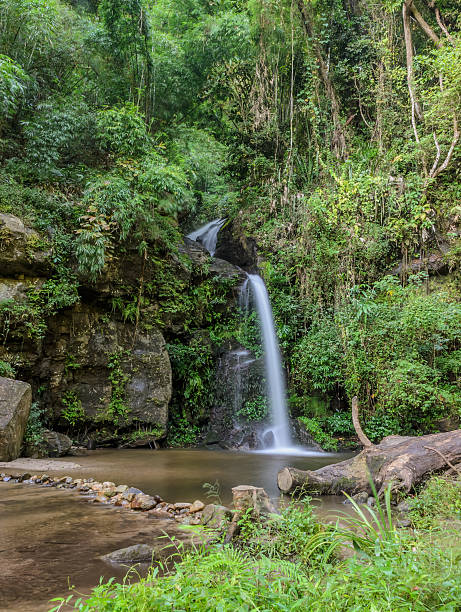 istock Evergreen forest waterfall in Chiang Mai, Thailand 533246077