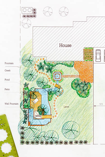 istock Landscape Architect design water garden plans for backyard 533246301