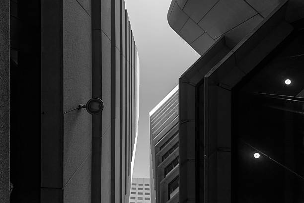 istock Adelaide skyscrapers in black and white 533247234
