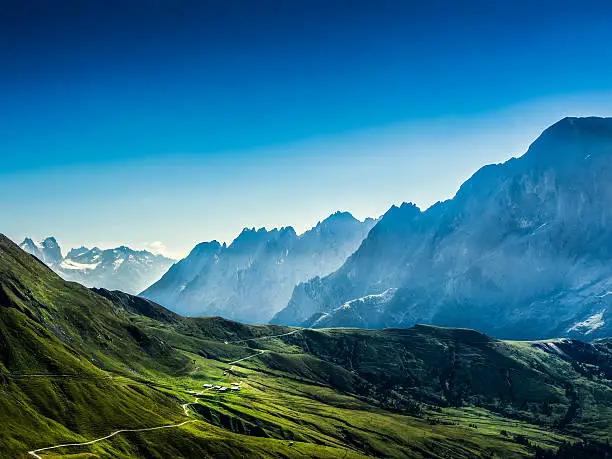 Swiss beauty, meadows under Jungfrau