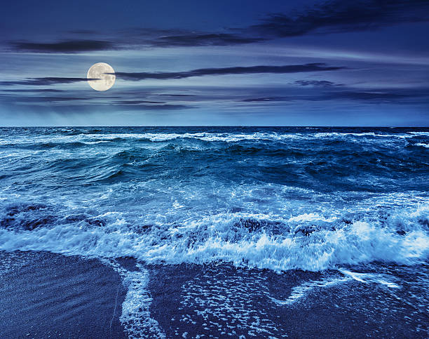 istock sea waves crashing on sandy beach at night 533252042
