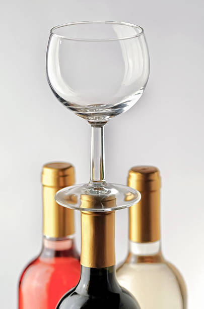istock Set of white, rose, and red wine bottles 533255191