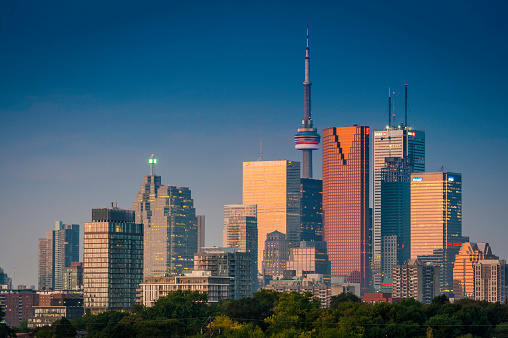 Dark blue skies over the the landmarks of downtown Toronto, the CN Tower, business skyscrapers and high rise condominums illuminated by warm sunset light above Riverdale Park, Ontario, Canada. ProPhoto RGB profile for maximum color fidelity and gamut.