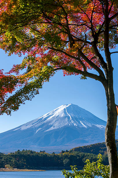 istock Beautiful Mt. Fuji from a Kawaguchiko lake 533258015