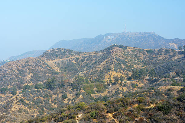 istock Sign of Hollywood 533259083