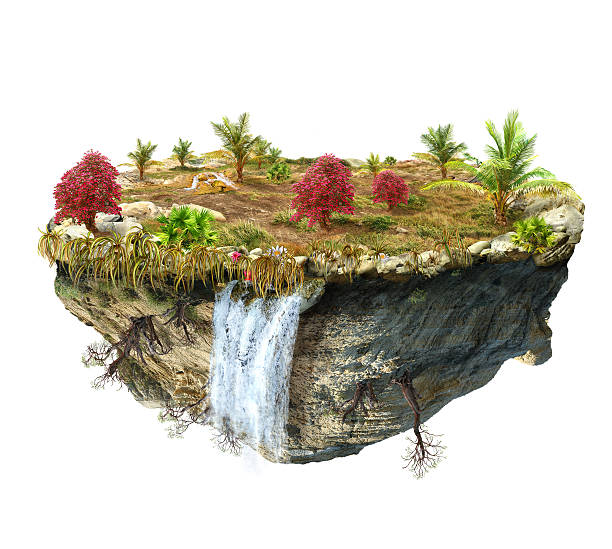 istock island with a palms and rhododendrons trees 533259249