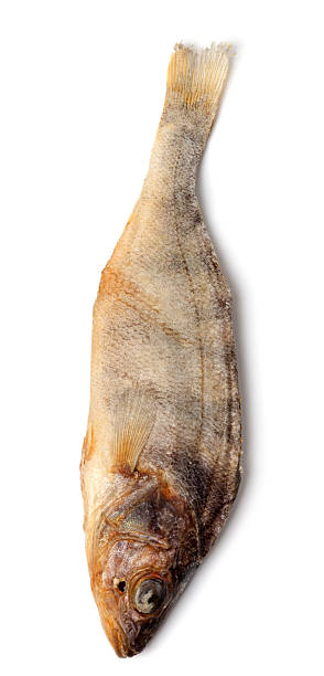 istock Stockfish isolated on white background 533261179
