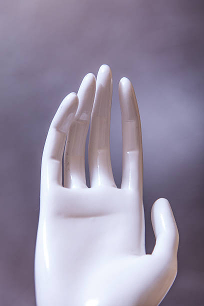 istock mannequin hands ,fashion model hands 533261639