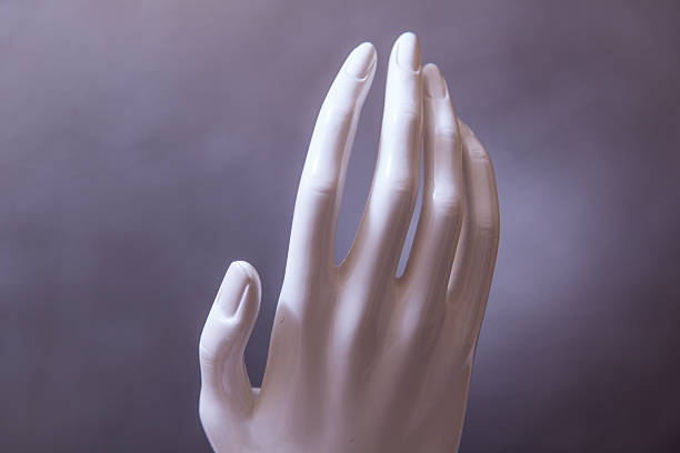 istock mannequin hands ,fashion model hands 533261643