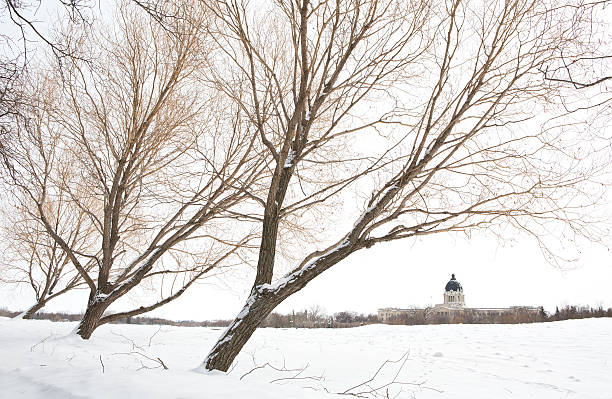 サスカチュワンイティブビルディングノースョアワスカーナからの湖の眺め - saskatchewan regina parliament building wascana lake ストックフォトと画像