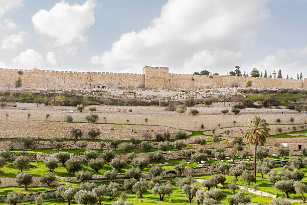 Golden gate to old Jerusalem city . Golden gate to old Jerusalem city and Kidron Valley . Israel . kidron valley stock pictures, royalty-free photos & images