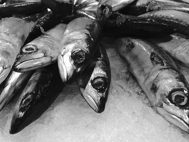 fish on ice at supermarket