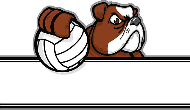 Mascota Bulldog-Voleibol - ilustración de arte vectorial