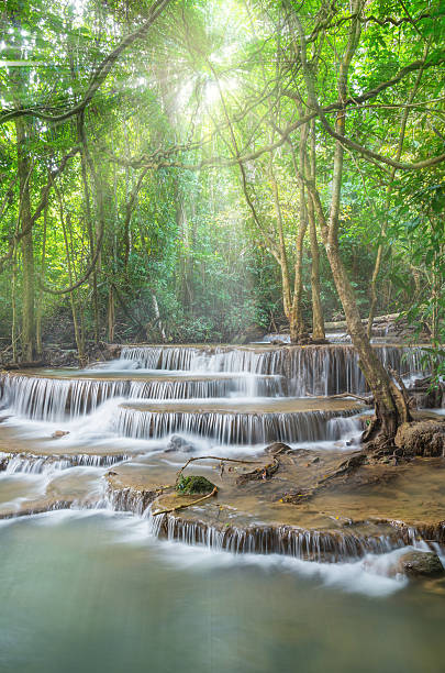 istock Beautiful waterfall in the forest 533272439