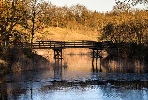 istock golden evening sunlight in nature 533275837