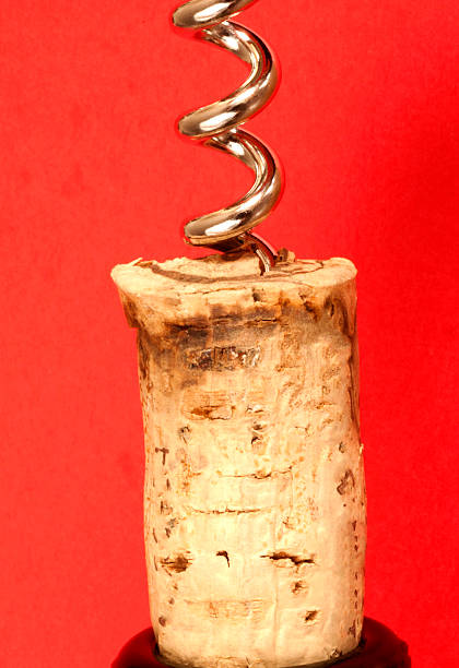 istock Opening a bottle of wine in celebration 533276151