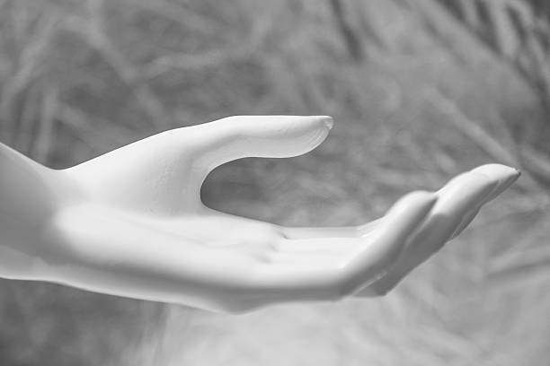 istock mannequin hands ,fashion model hands 533277677