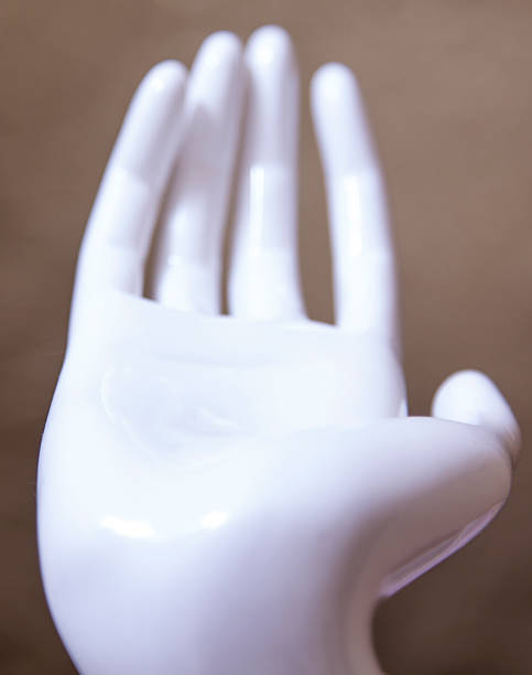istock mannequin hands ,fashion model hands 533277681