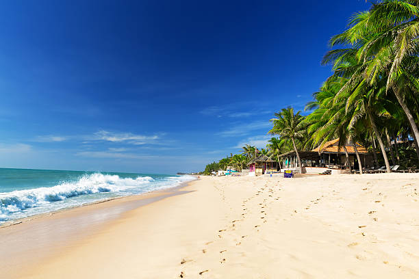 belle plage avec ciel bleu - green sky water wave photos et images de collection