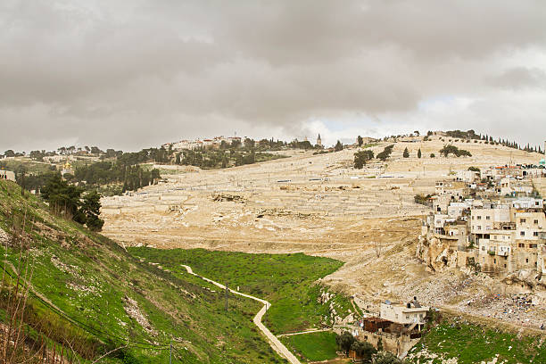 kidron valley. jerusalem - brussels basilica stock-fotos und bilder
