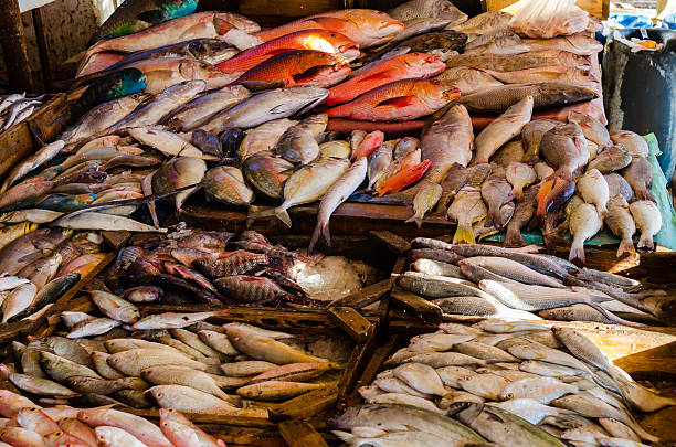 istock Fresh fish at the fish market in Hurghada 533291359
