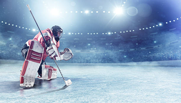 Ice hockey goalie View of professional ice hockey player during game in indoor arena full of spectators hockey puck photos stock pictures, royalty-free photos & images