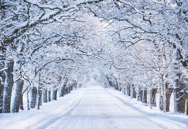 alley in snowy morning - winter stockfoto's en -beelden