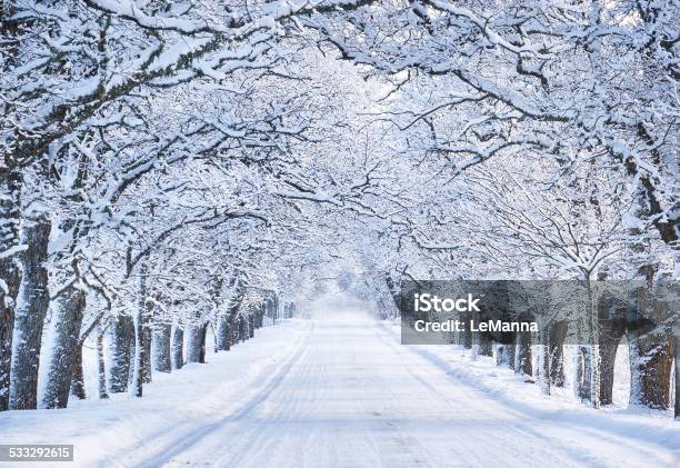 Alley In Snowy Morning Stock Photo - Download Image Now - Winter, Snow, Blizzard