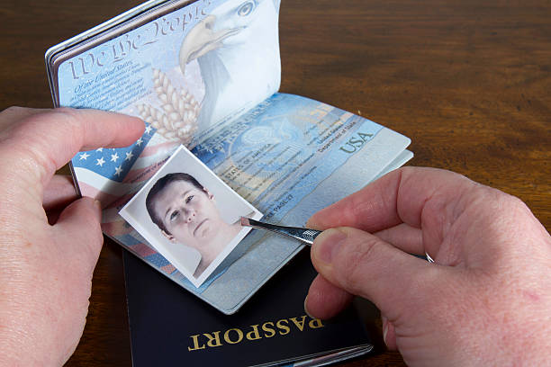 Forging Travel Documents Hand with tweezers holding id photo over passport as if forging the travel documents synthetic identity theft stock pictures, royalty-free photos & images