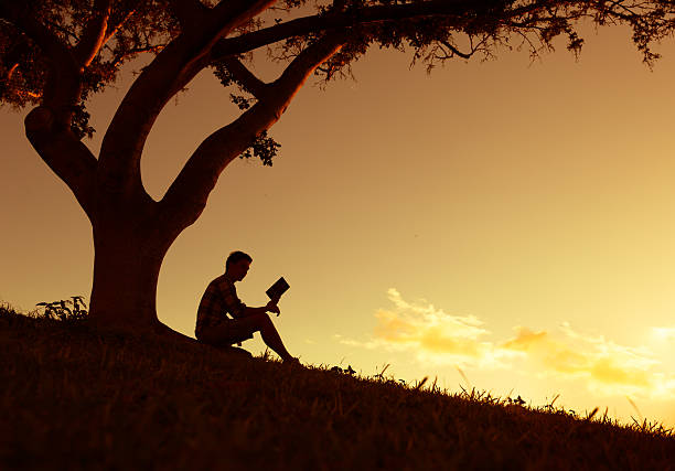 istock Men reading in the park 533294147