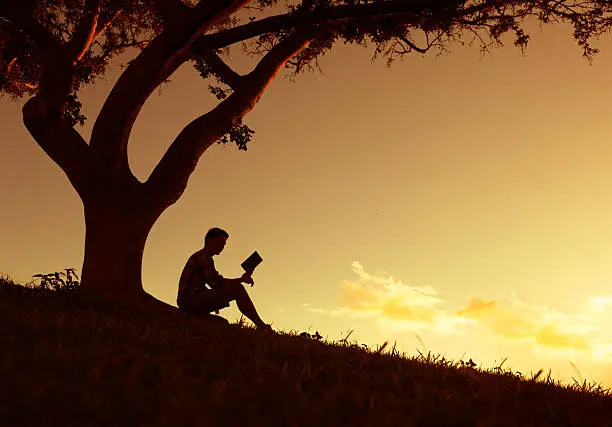 Photo of Men reading in the park