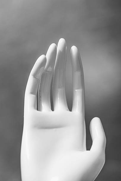 istock mannequin hands ,fashion model hands 533294773