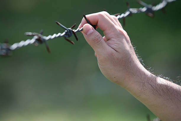 istock hand of prison with barbed wire. 533295271