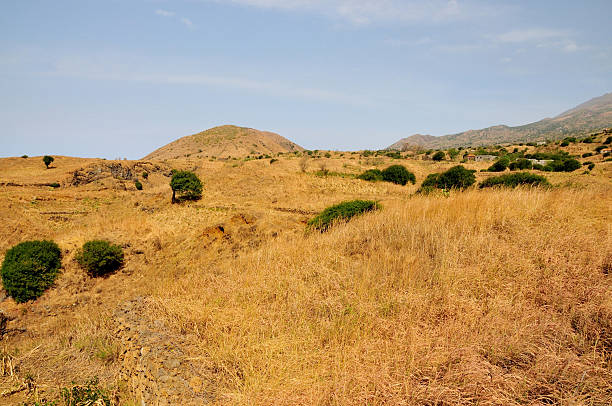 istock Farmland during dry season 533297199