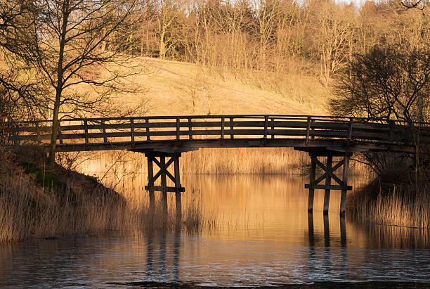 istock golden evening sunlight in nature 533297953