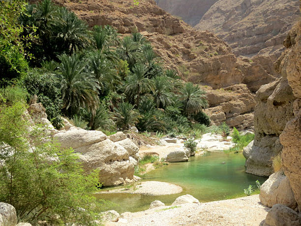 Clear water in a pittoresque Wadi in Oman. The picture shows a little creek in a beautiful Wadi in the Oman desert. wadi shab stock pictures, royalty-free photos & images