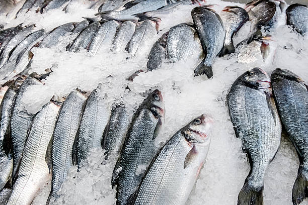 istock Fresh fish carcasses lie on ice crumbs 533311337