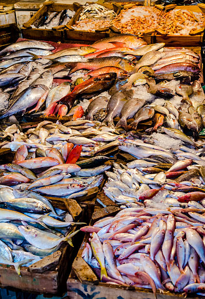 istock Fresh fish at the fish market in Hurghada. Egypt 533311595