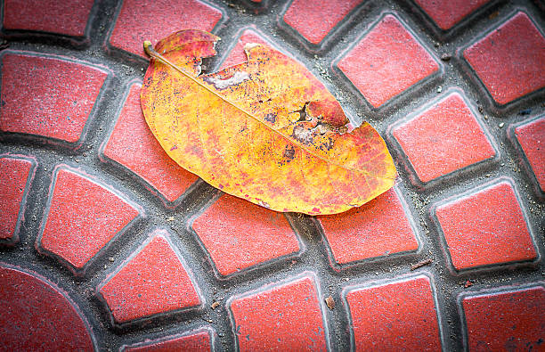 istock He did not want to waste 533311719