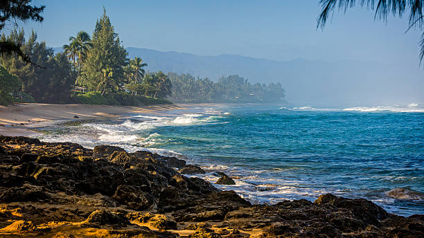 Turtle Bay of Oahu. stock photo