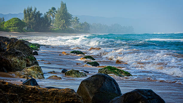 Rocks of Turtle Bay of Oahu stock photo