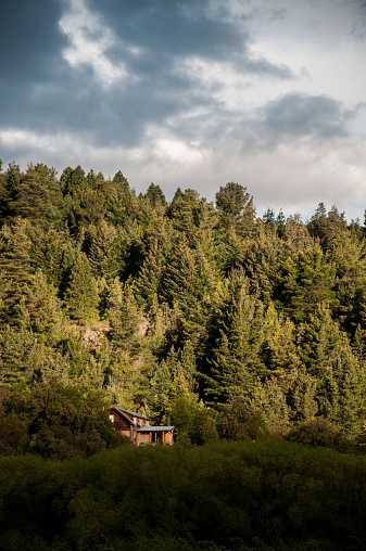 house in the middle of the forest in el bolson patagonia argentina