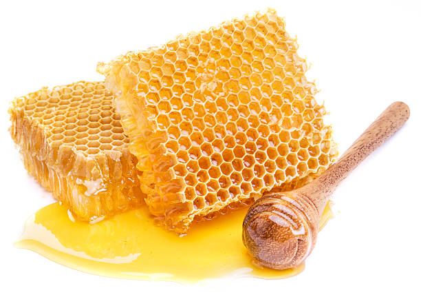 istock Honeycomb and honey dipper. 533326774